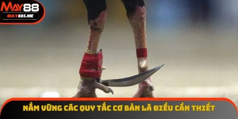 Việc nắm vững các quy tắc cơ bản là điều vô cùng cần thiết