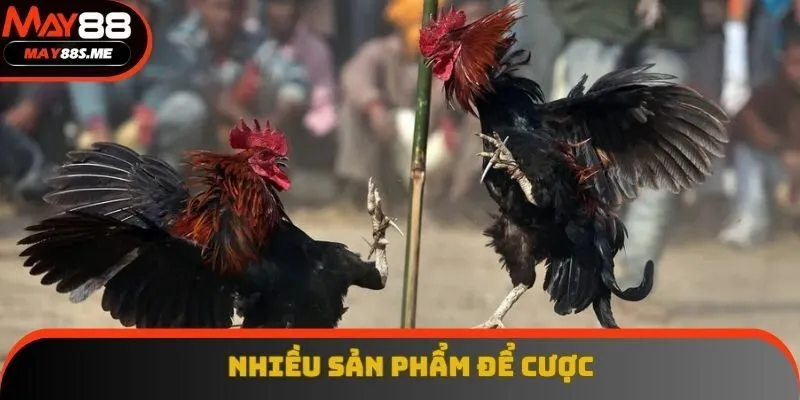 Đa dạng sản phẩm cược trên live