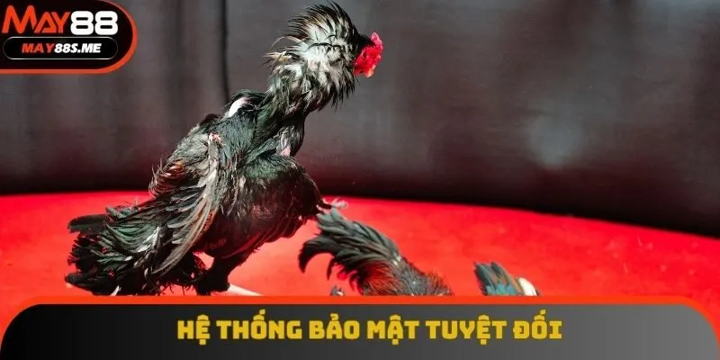 Hệ thống mã hóa SSL của nhà cái tiên tiến, bảo vệ dữ liệu 