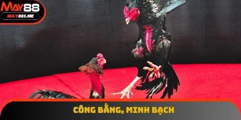 Sảnh cược luôn đảm bảo tính công bằng trong từng trận đấu