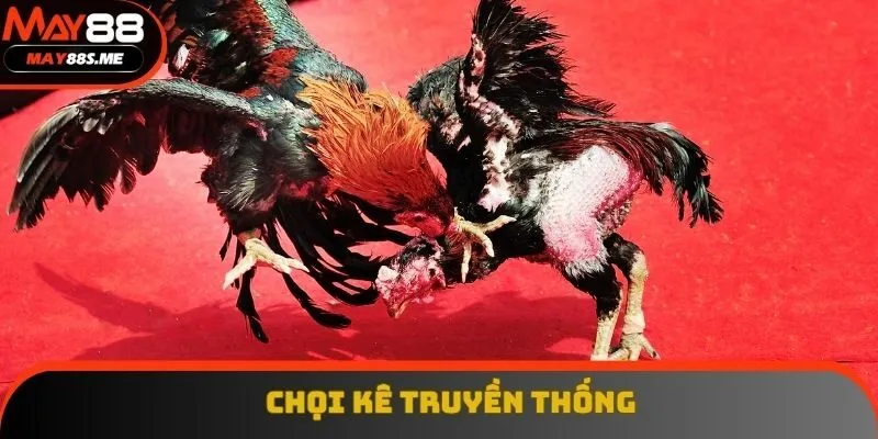 Loại hình chọi kê đồn truyền thống được yêu thích nhiều