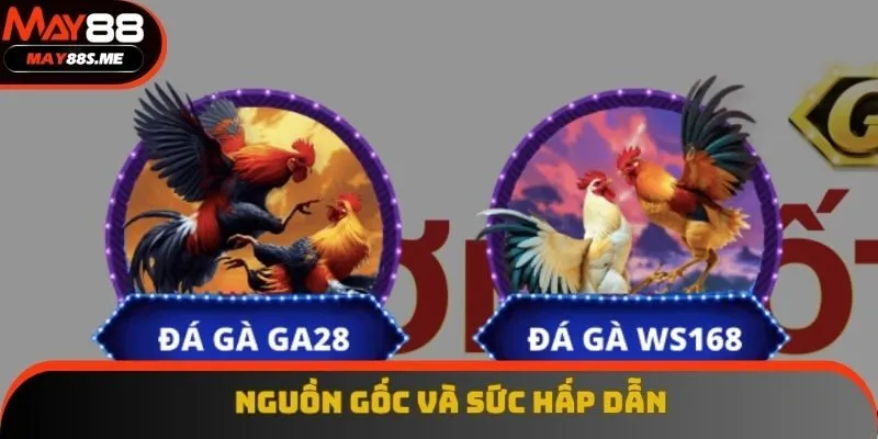 Nguồn gốc và sức hấp dẫn