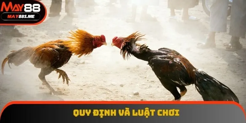 Quy định và luật chơi