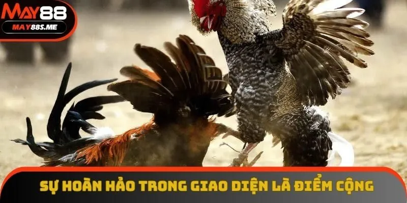Sự hoàn hảo trong giao diện là điểm cộng lớn