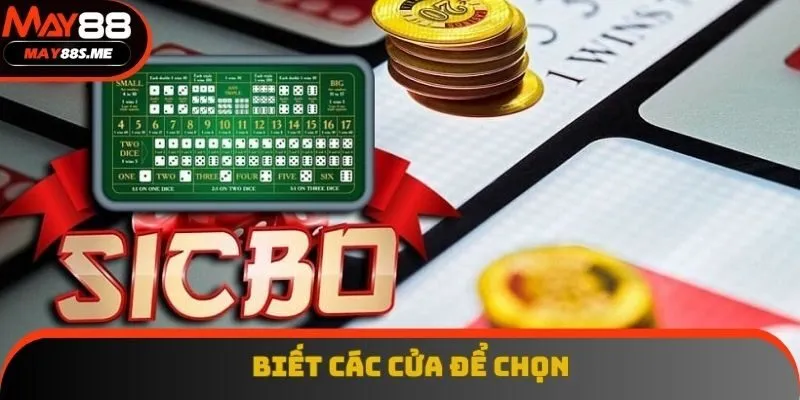 Biết đặc điểm tùy chọn để cược